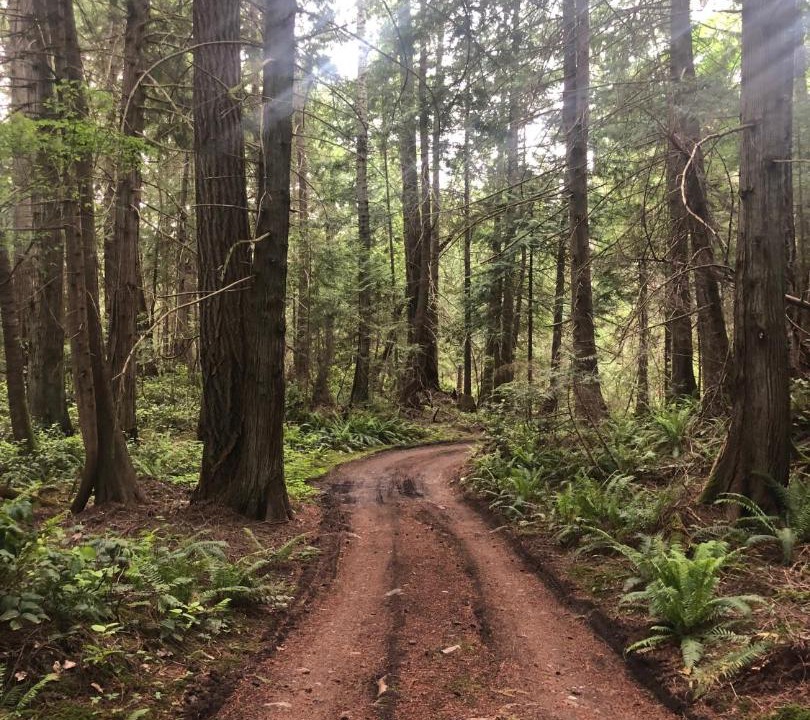 Photo of Others in Thetis Island