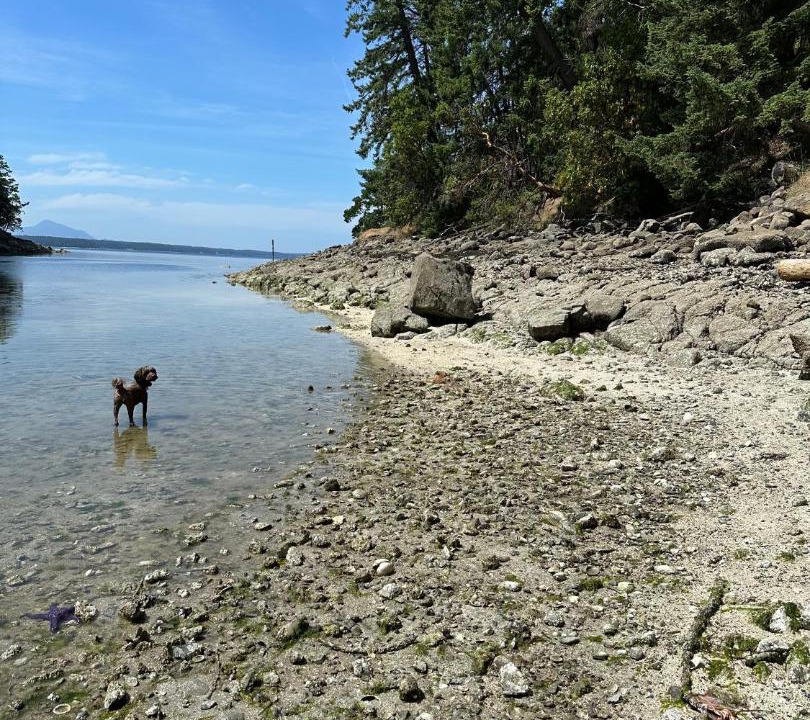 Photo of Others in Thetis Island