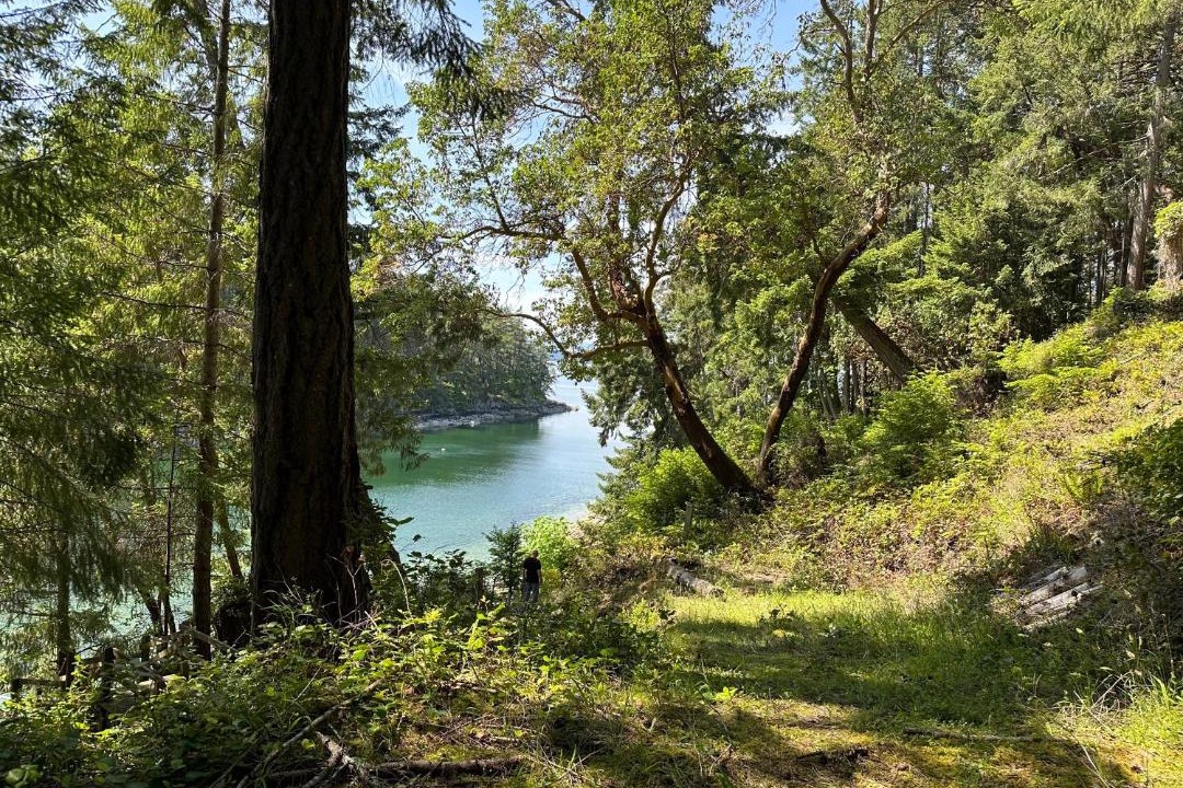 Photo of Others in Thetis Island