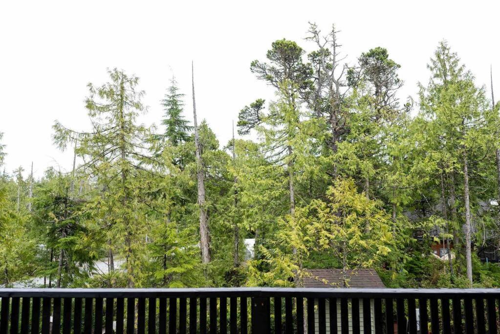 Photo of Others in Ucluelet