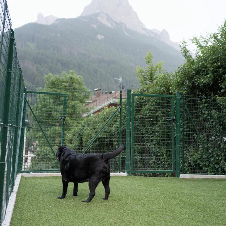 Photo of Others in Pozza di Fassa