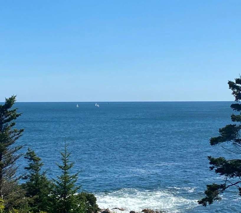 Photo of Others in Portuguese Cove