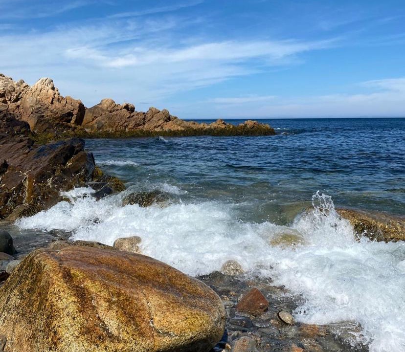Photo of Others in Portuguese Cove