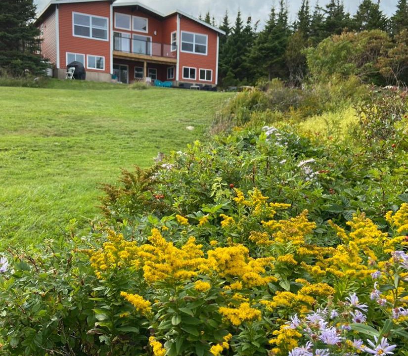 Photo of Others in Portuguese Cove