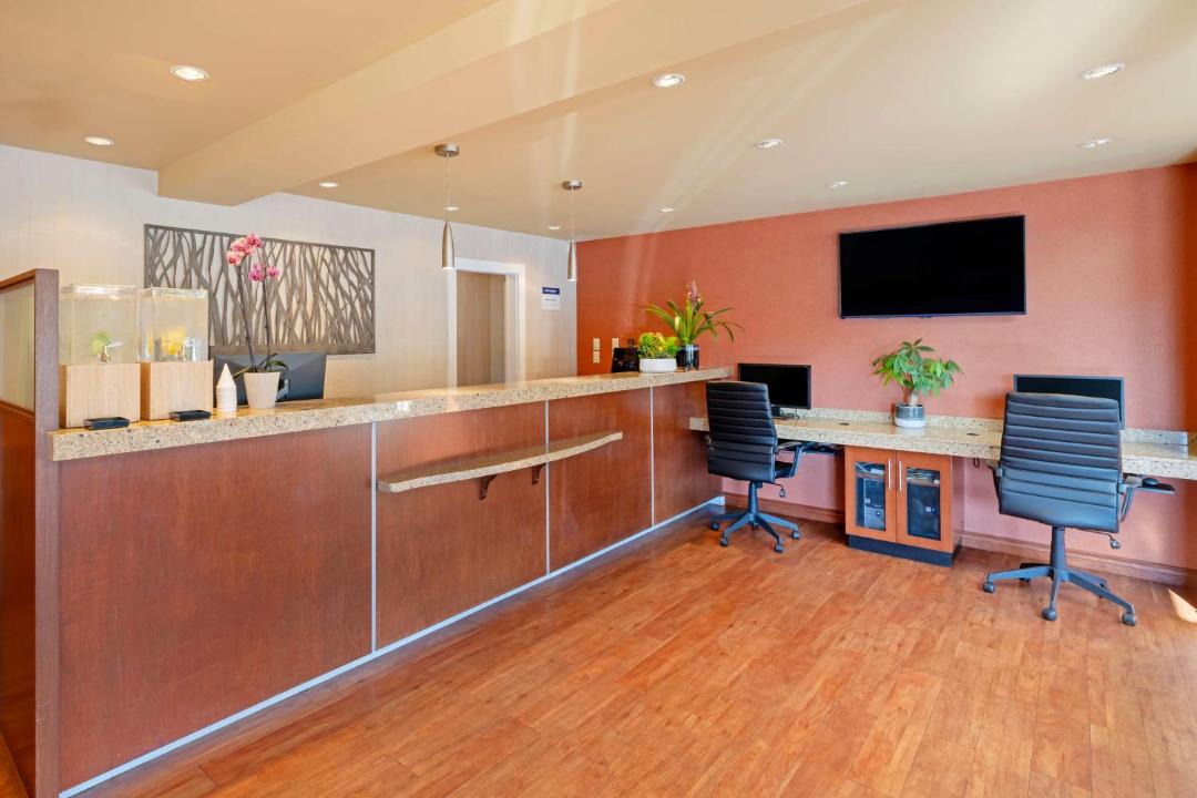 Photo of Livingroom in Sidney