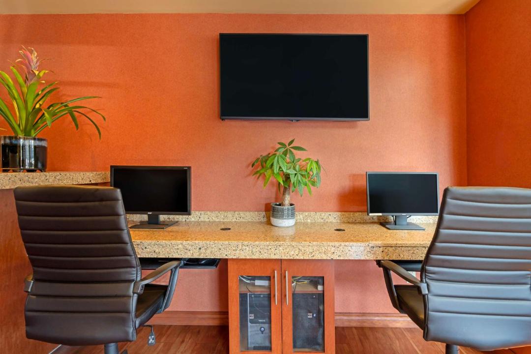 Photo of Livingroom in Sidney