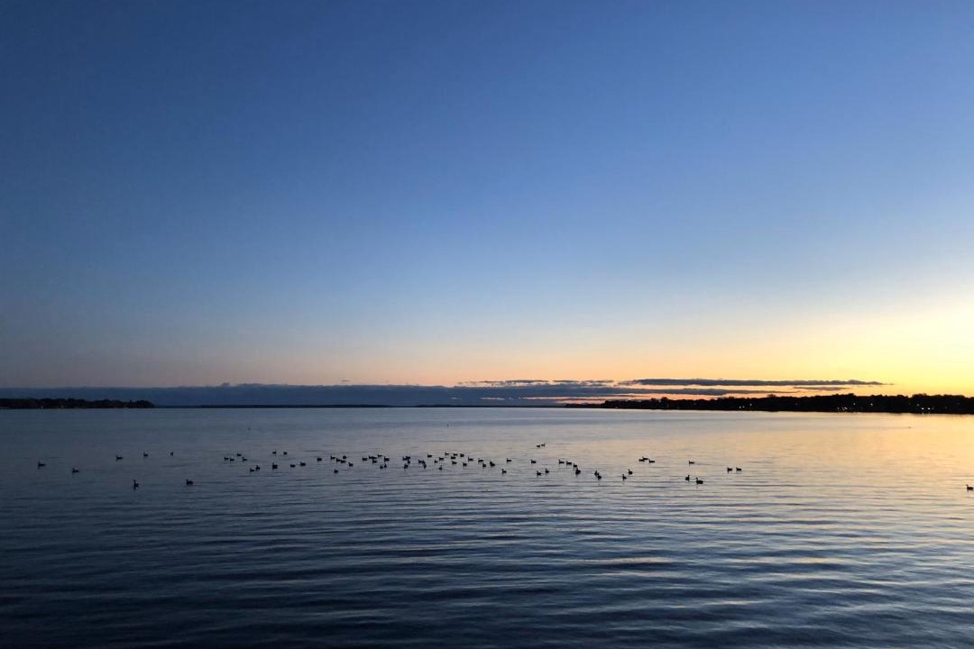 Photo of Others in Venise-en-Quebec