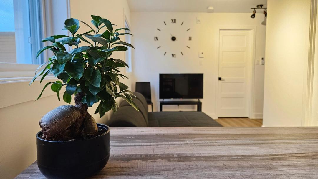 Photo of Livingroom in Rawdon