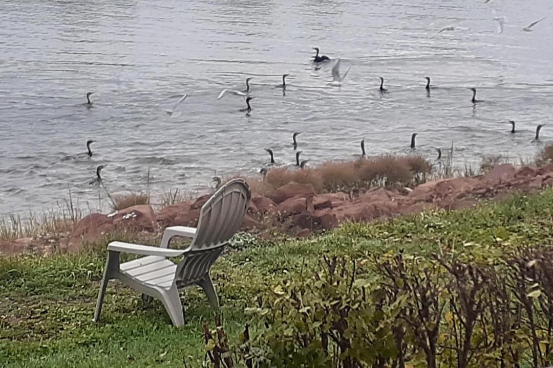 Photo of Others in Cardigan