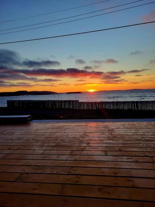 Photo of Others in Bonavista