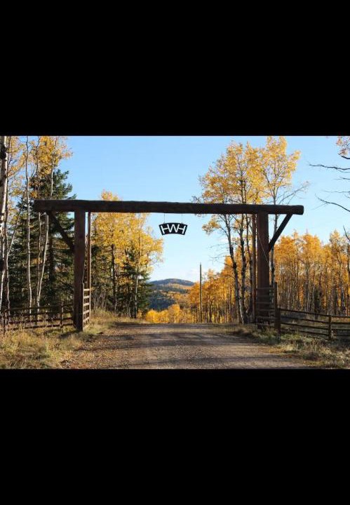 Photo of Others in Calgary