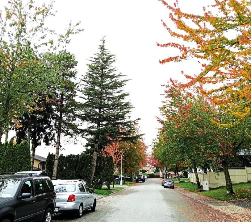 Photo of Others in Cloverdale
