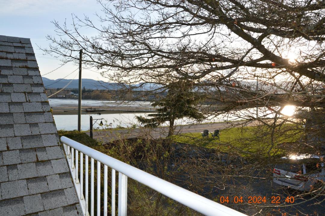 Photo of Others in Comox