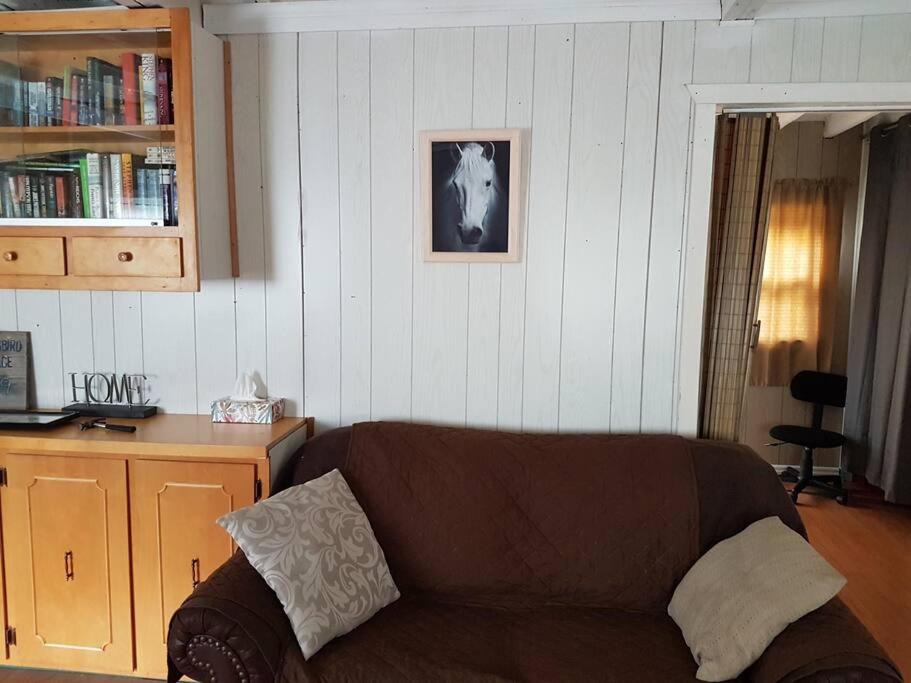 Photo of Livingroom in Cape Breton Regional Municipality