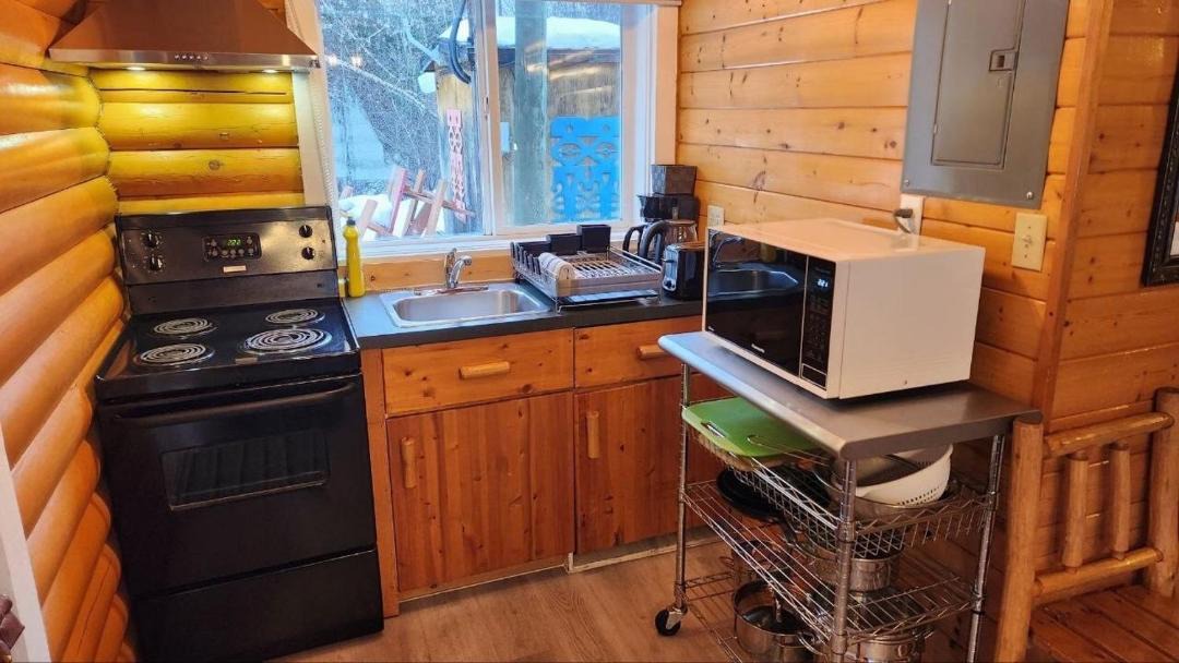 Photo of Kitchen in Revelstoke