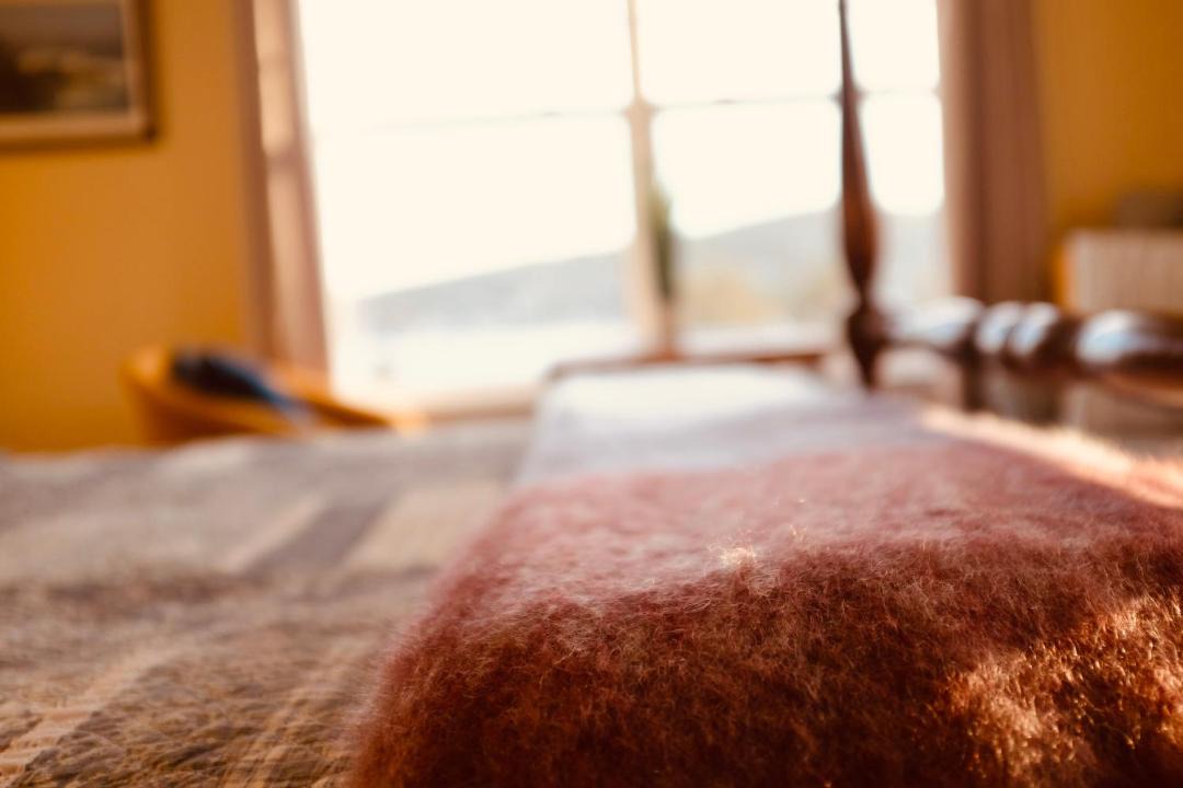 Photo of Bedroom in Bay Bulls