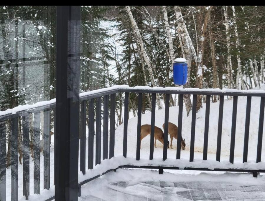 Photo of Others in Chute-Saint-Philippe