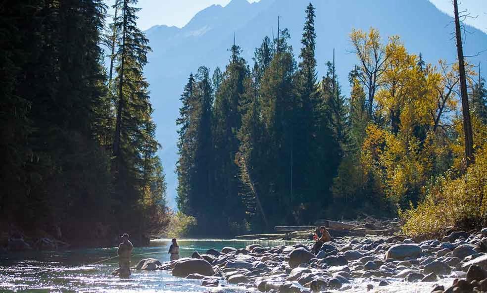 Photo of Others in Revelstoke