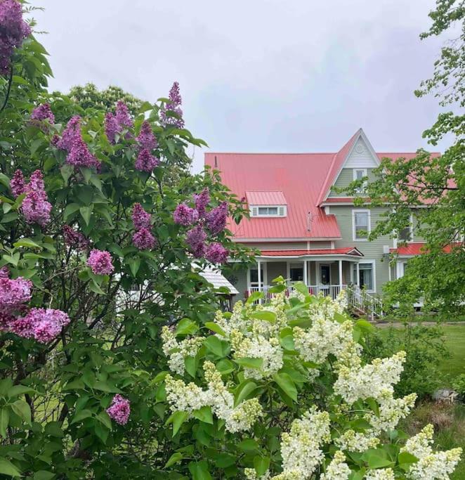 Photo of Buildings in Bayfield