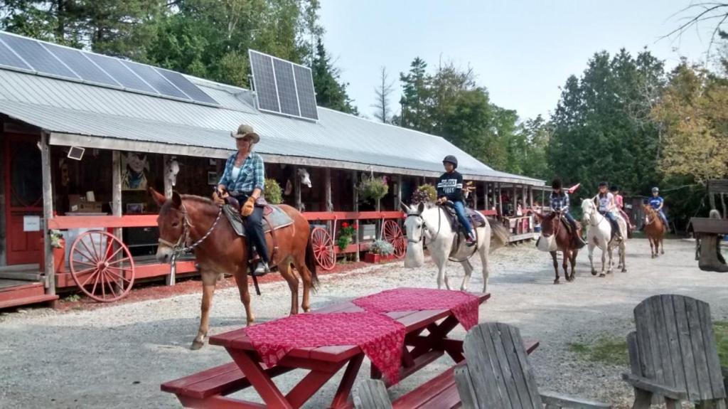 Photo of Others in Manitoulin District