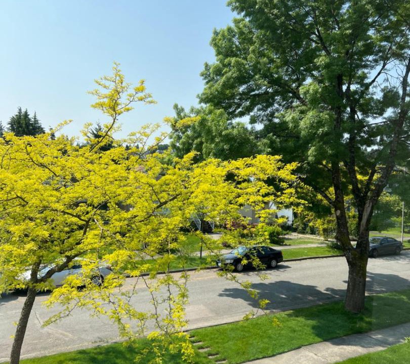 Photo of Others in Arbutus Ridge