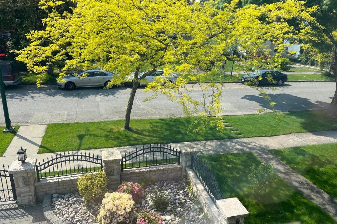 Photo of Others in Arbutus Ridge