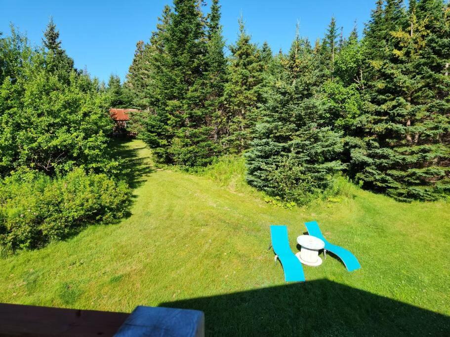 Photo of Outdoor in Guysborough County