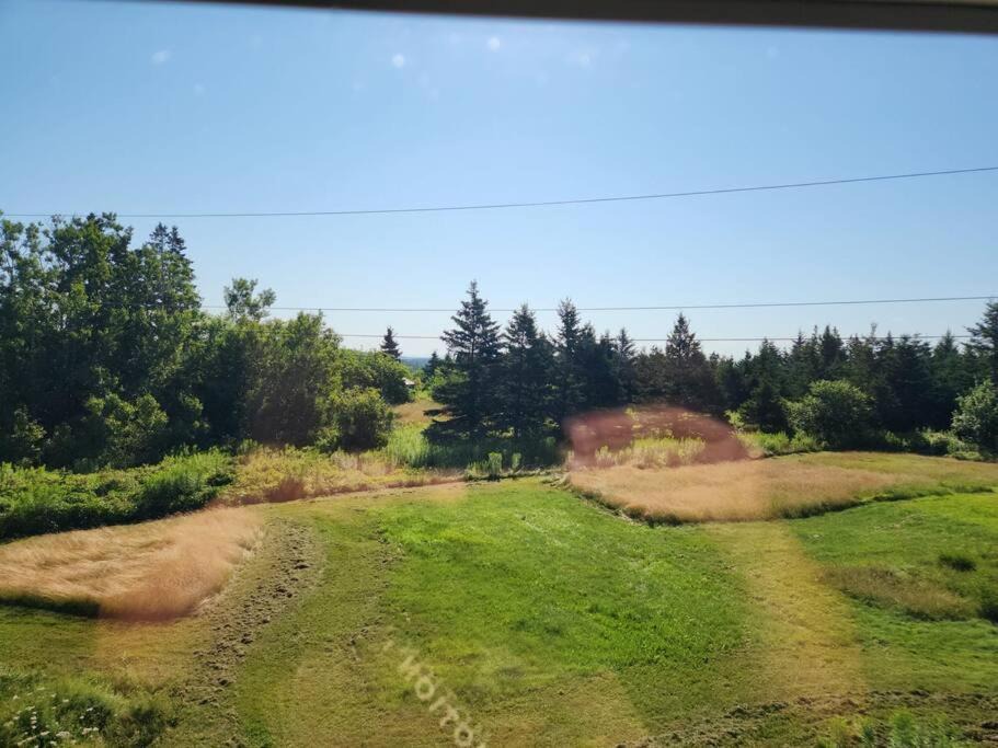 Photo of Outdoor in Guysborough County