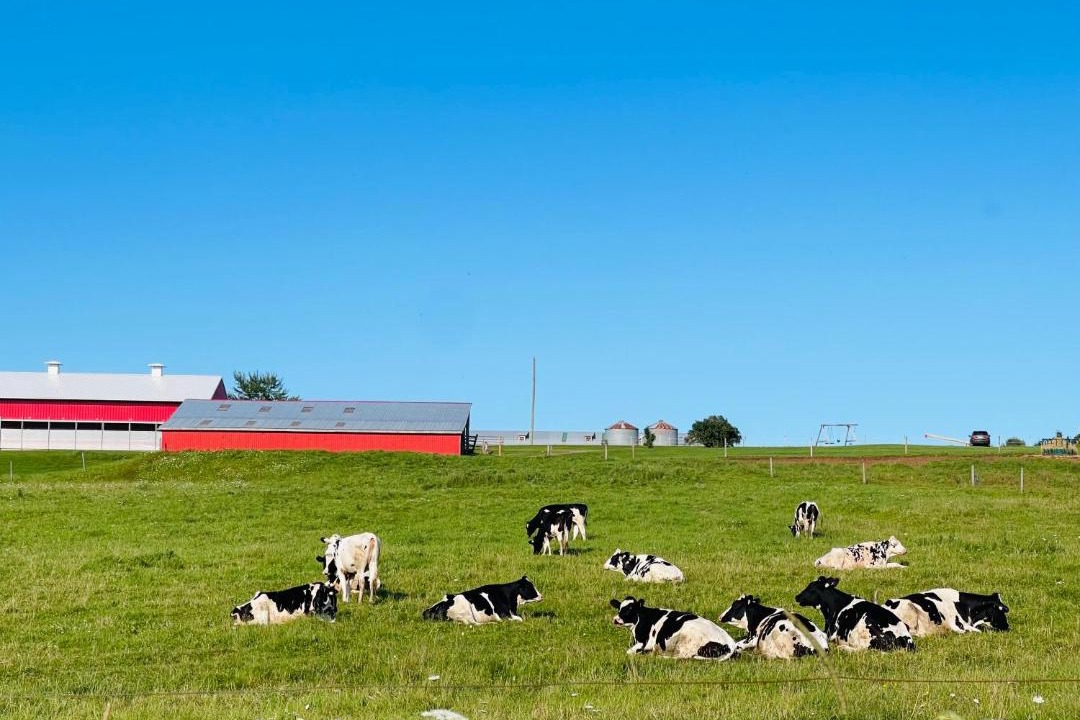 Photo of Others in New Glasgow