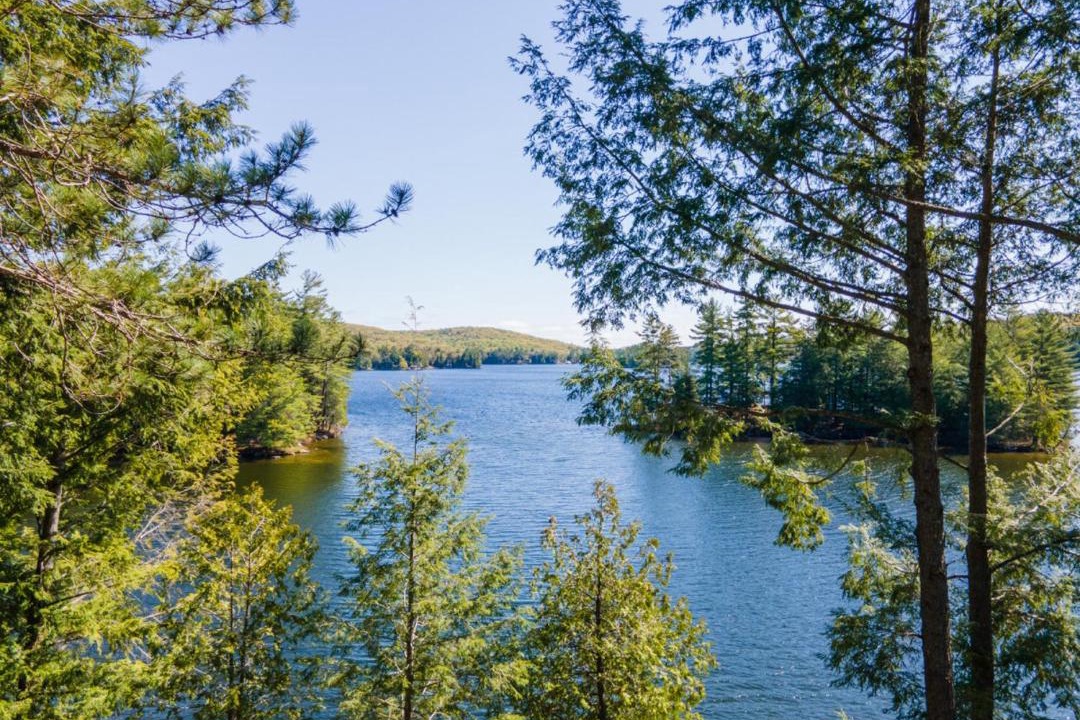 Photo of Others in Lake of Bays
