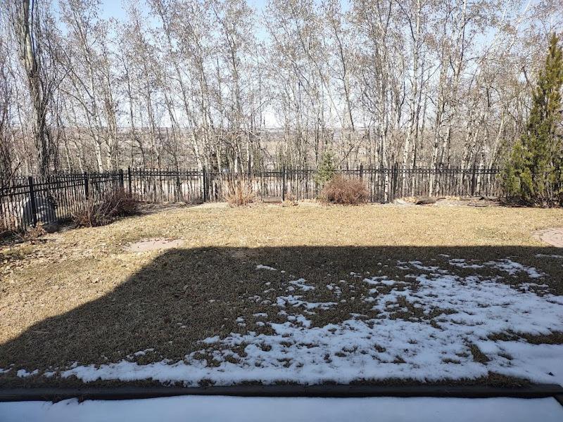 Photo of Bedroom in Calgary