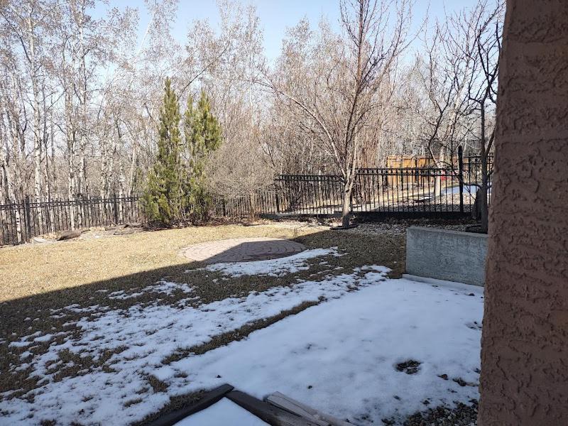 Photo of Others in Calgary