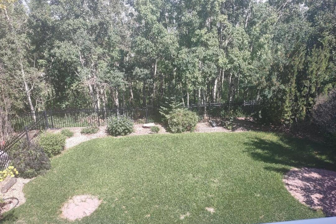 Photo of Others in Calgary