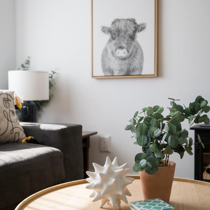 Photo of Livingroom in Prince Edward