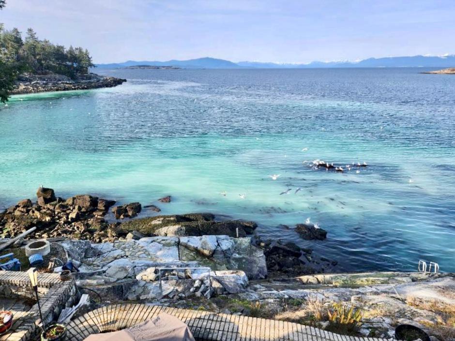 Photo of Others in Regional District of Nanaimo