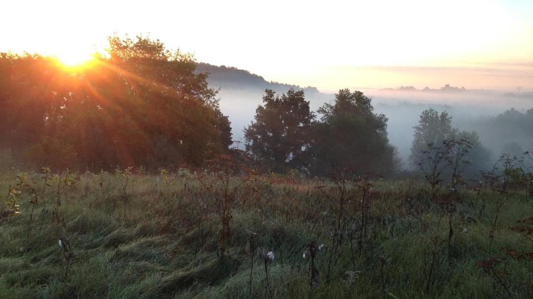 Photo of Outdoor in Cramahe