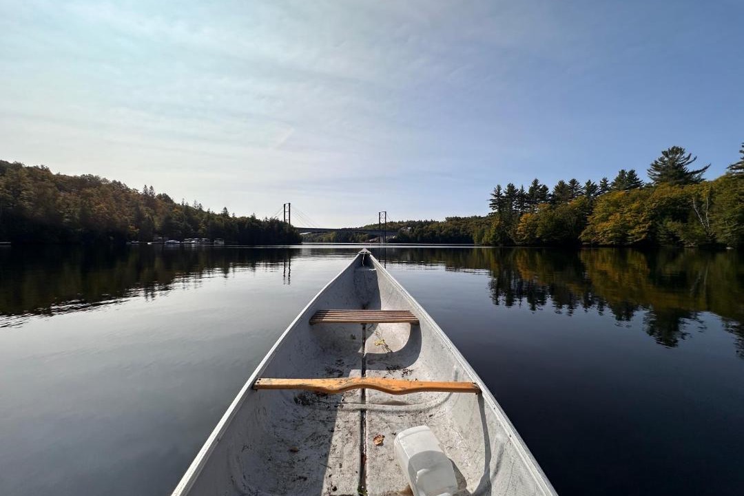 Photo of Others in Mauricie