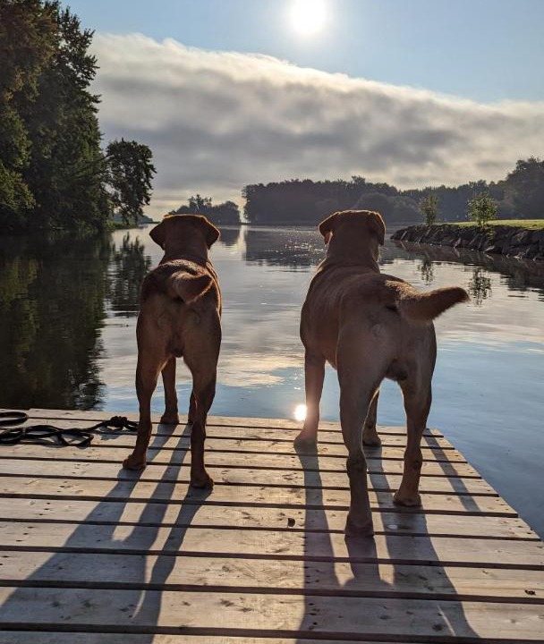 Photo of Others in Mauricie