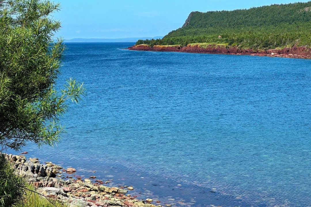 Photo of Others in Norman's Cove-Long Cove