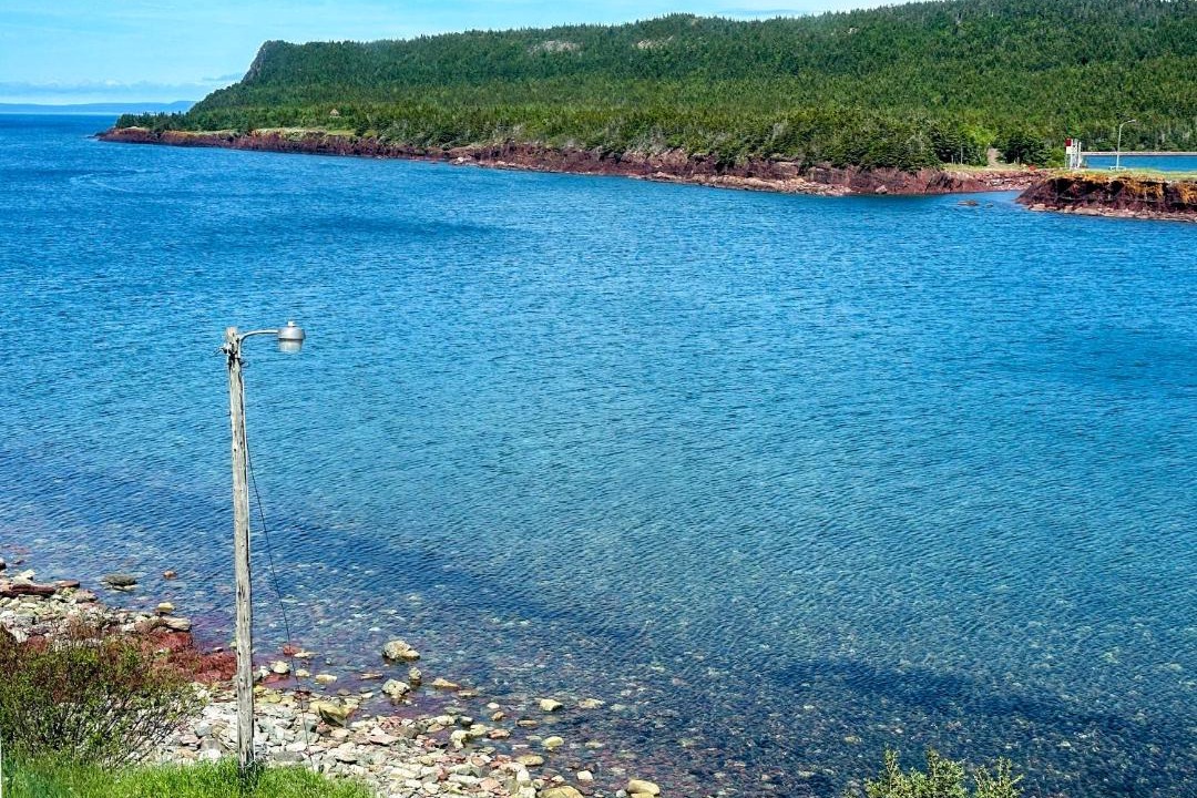 Photo of Others in Norman's Cove-Long Cove