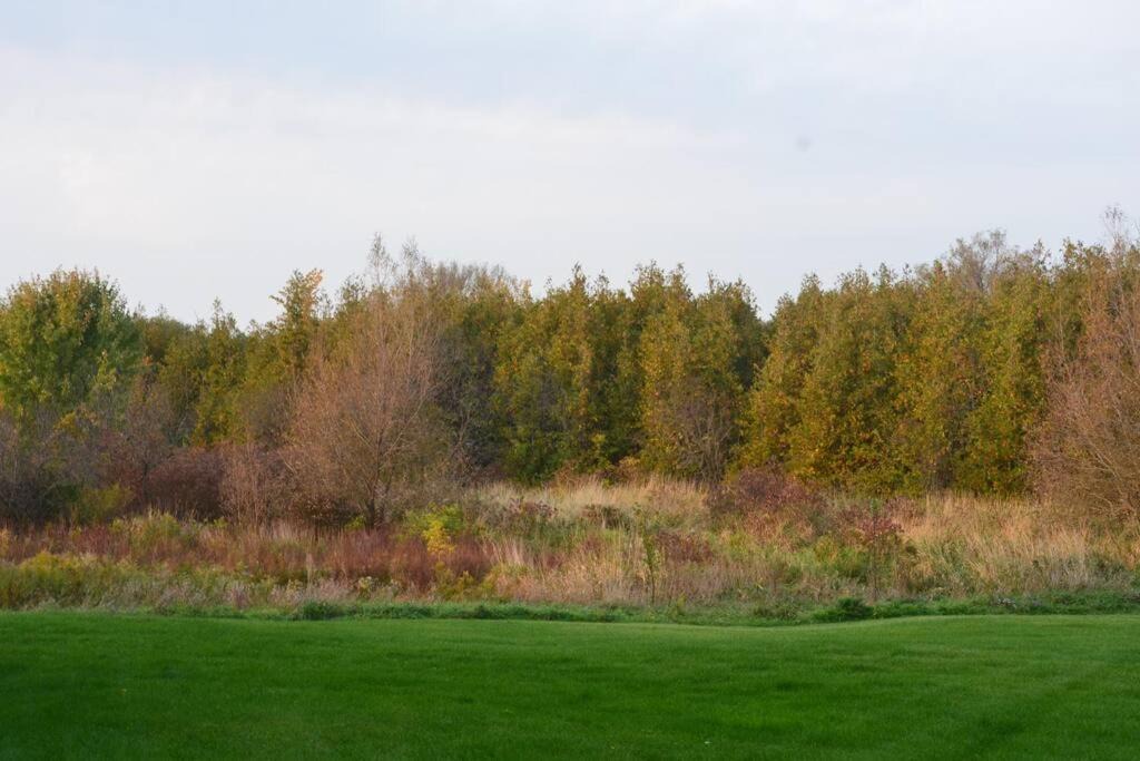 Photo of Outdoor in Brock