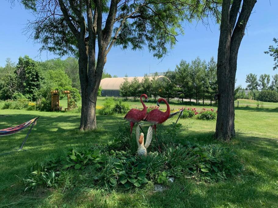 Photo of Outdoor in Brock