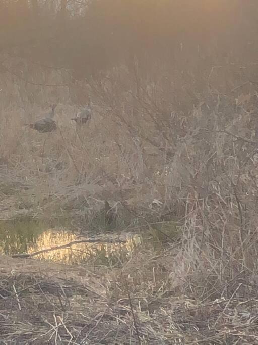 Photo of Outdoor in Brock