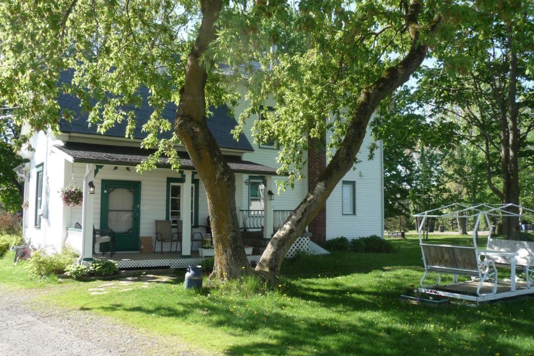 Photo of Others in Mauricie