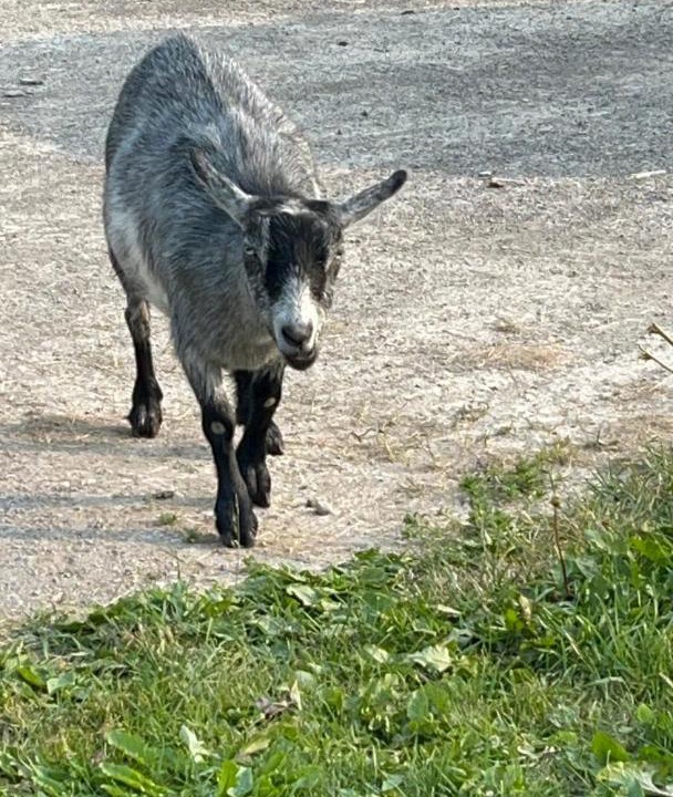 Photo of Others in Kawartha Lakes