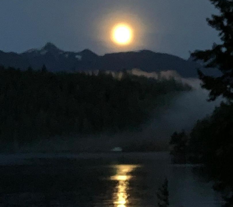 Photo of Others in Earls Cove