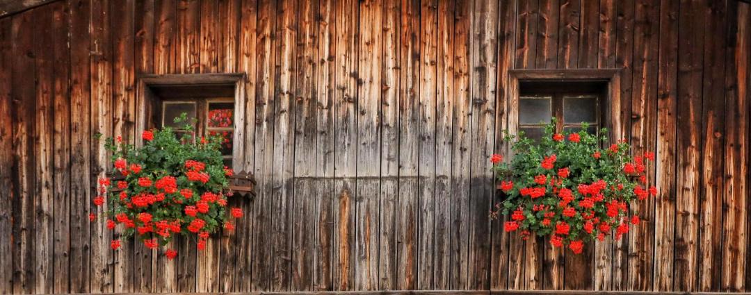Photo of Others in Woergl