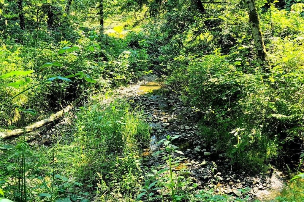 Photo of Outdoor in Willoughby