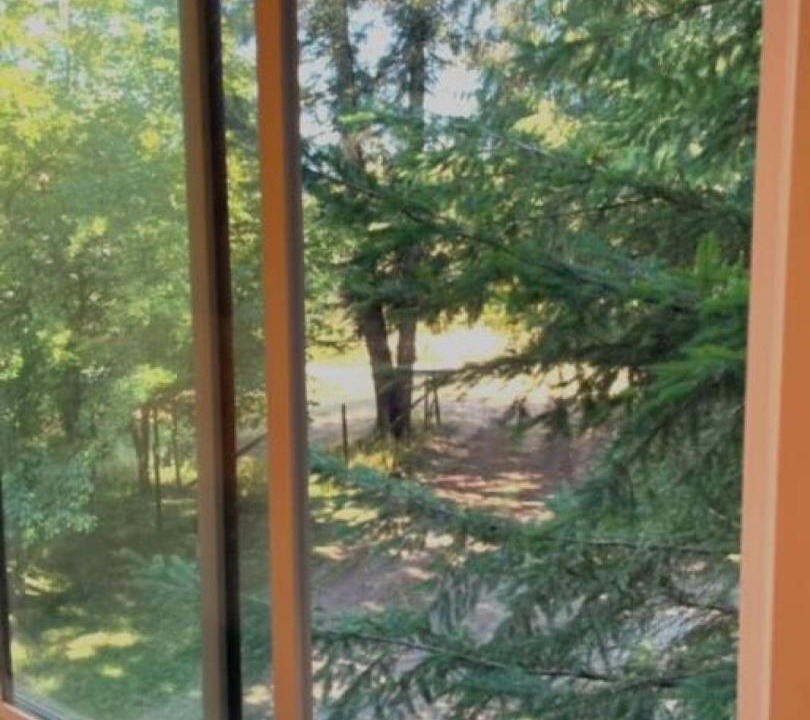 Photo of Others in Shawnigan Lake