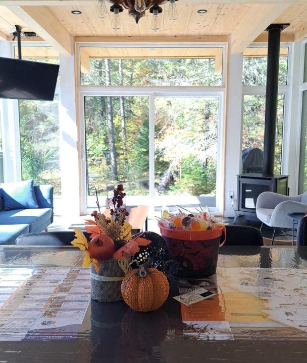 Photo of Livingroom in Mauricie